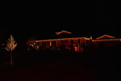 DSC_5766 (Large).JPG